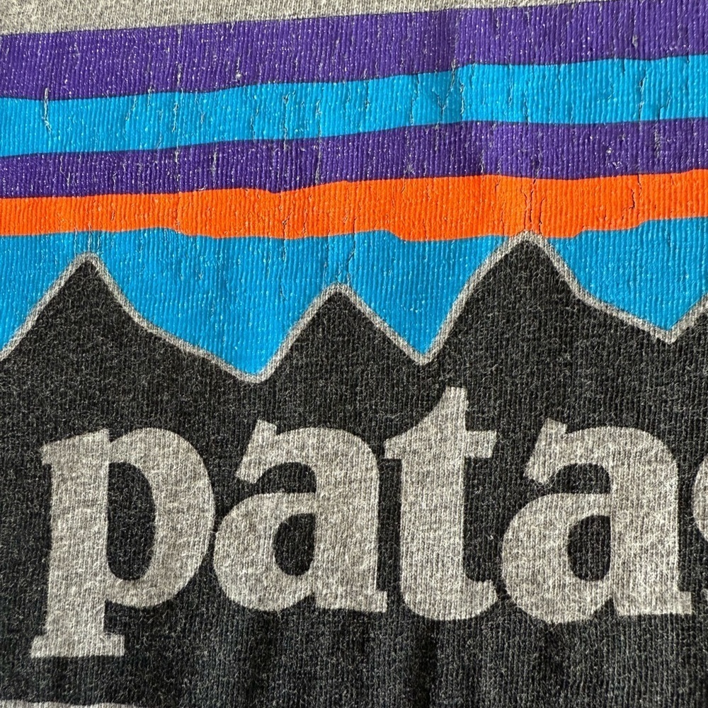 Patagonia Gray Short Sleeve Tee Classic Crew Neck - Picture 6 of 11